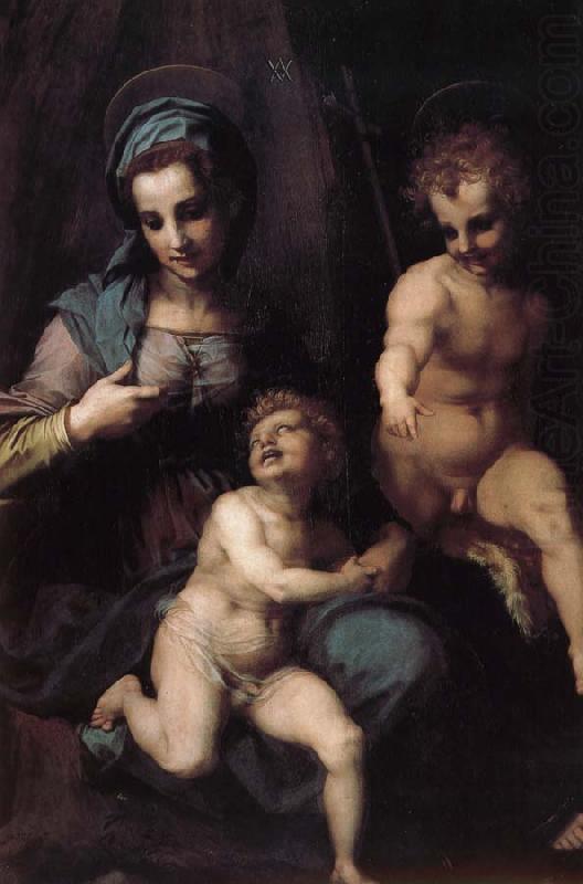 Andrea del Sarto The Virgin and Child with St. John childhood china oil painting image